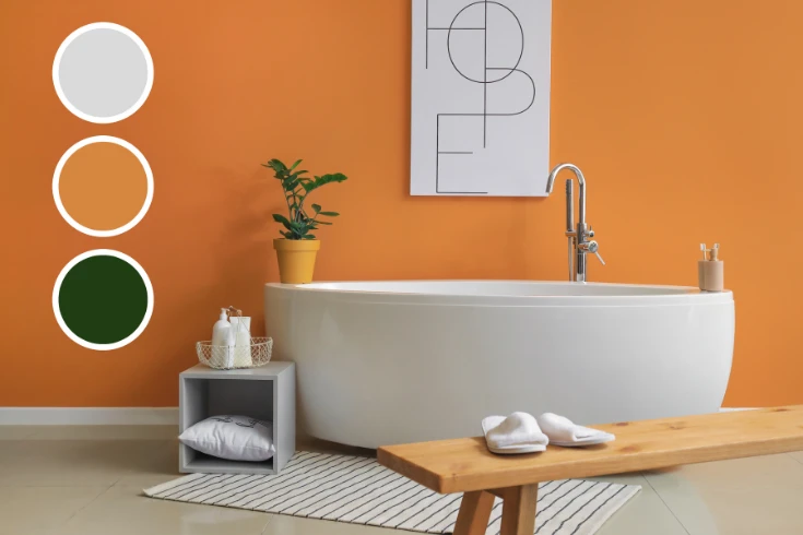 Bathroom Color Ideas
