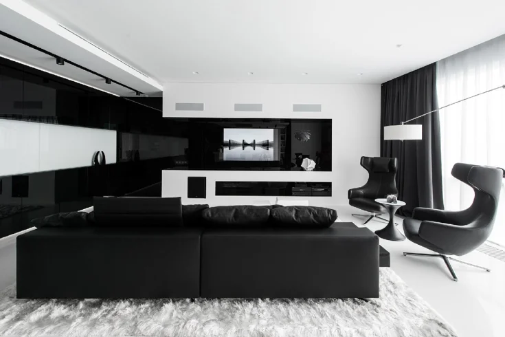 Black and white living room contrast