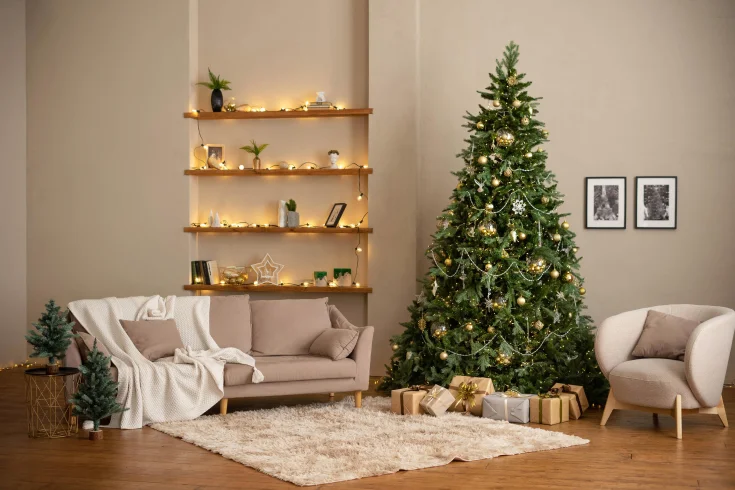stylish christmas living room design