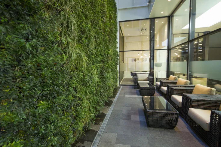 vertical garden green wall