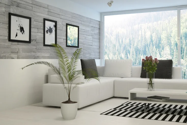 nature inspired materials for living rooms