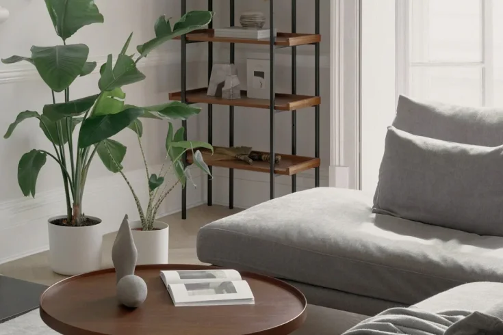 plants for living rooms