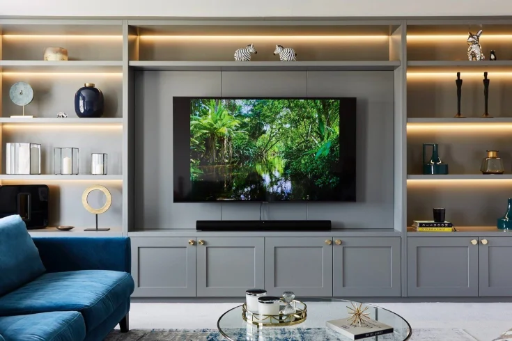 Living room TV unit