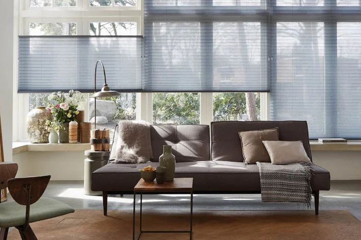 living room window blinds