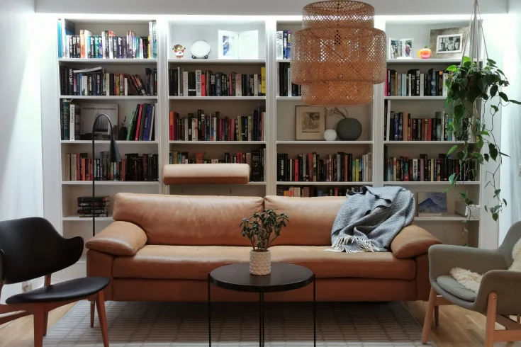 living room bookshelf