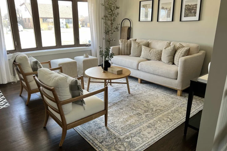 living room area rugs