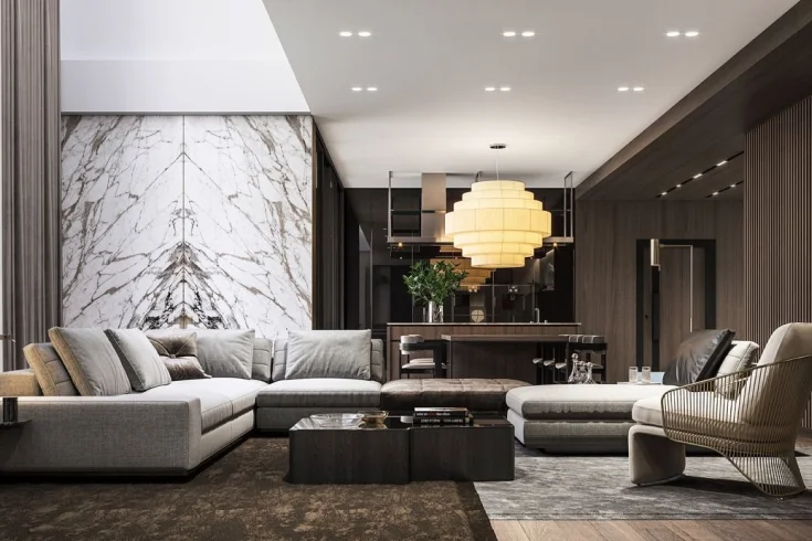 luxury Living room design