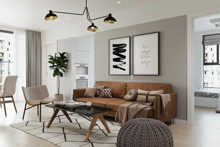 Scandinavian Living room