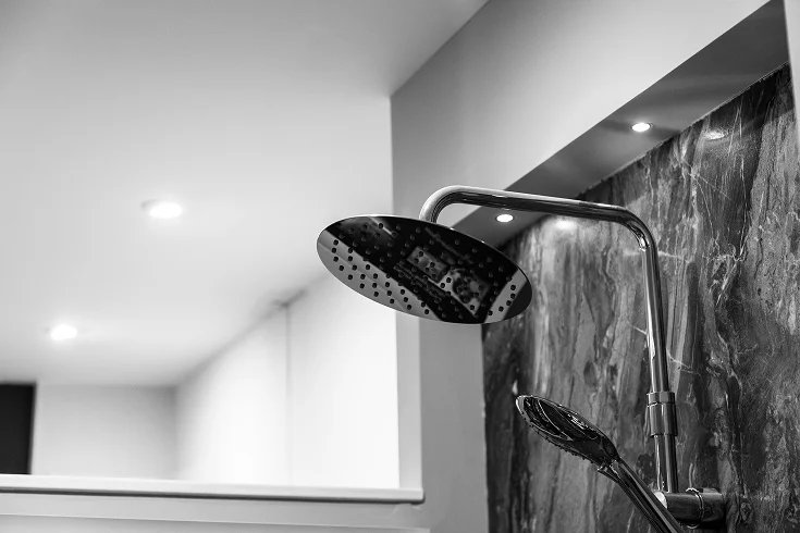 best shower head styles