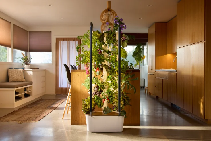 kitchen vertical planters