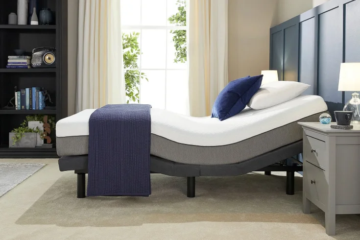 motion and adjustable bed frames