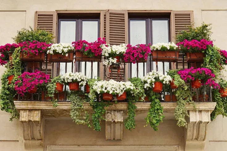 hanging planters in balcony